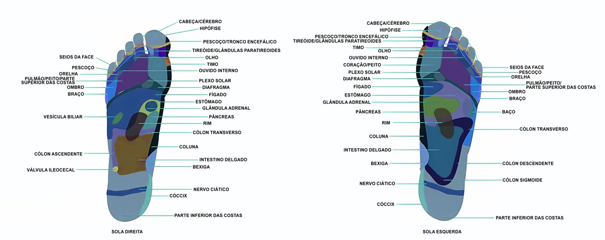 É importante saber que os pontos do pé direito correspondem aos membros e órgãos do lado direito do corpo. E o mesmo vale para o pé esquerdo, que está ligado ao lado esquerdo do corpo1.